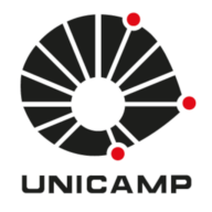 Logo Universidade Estadual de Campinas